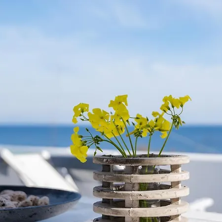 Apartment Alios Beach Houses *